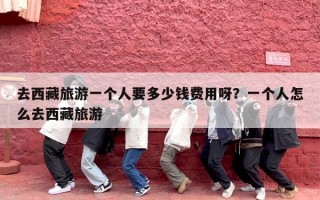 去西藏旅游一个人要多少钱费用呀？一个人怎么去西藏旅游