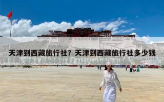 天津到西藏旅行社？天津到西藏旅行社多少钱