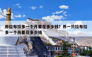 养拉布拉多一个月要花多少钱？养一只拉布拉多一个月要花多少钱