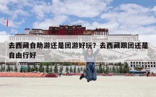 去西藏自助游还是团游好玩？去西藏跟团还是自由行好