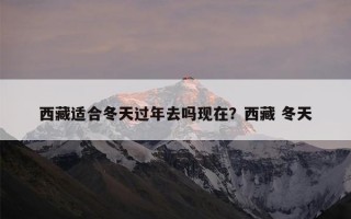 西藏适合冬天过年去吗现在？西藏 冬天