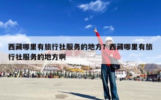 西藏哪里有旅行社服务的地方？西藏哪里有旅行社服务的地方啊