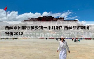 西藏跟团旅行多少钱一个月啊？西藏旅游跟团报价2018