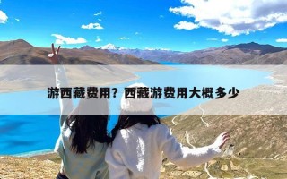 游西藏费用？西藏游费用大概多少