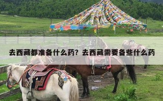 去西藏都准备什么药？去西藏需要备些什么药