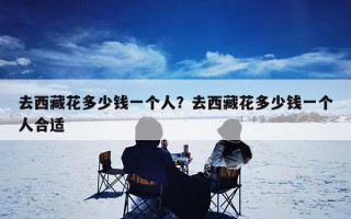 去西藏花多少钱一个人？去西藏花多少钱一个人合适