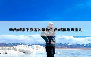去西藏哪个旅游团最好？西藏旅游去哪儿