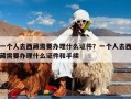 一个人去西藏需要办理什么证件？一个人去西藏需要办理什么证件和手续
