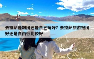 去拉萨是跟团还是自己玩好？去拉萨旅游报团好还是自由行比较好