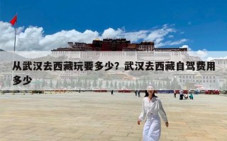 从武汉去西藏玩要多少？武汉去西藏自驾费用多少