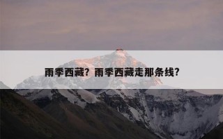 雨季西藏？雨季西藏走那条线?