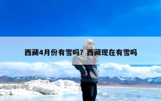 西藏4月份有雪吗？西藏现在有雪吗