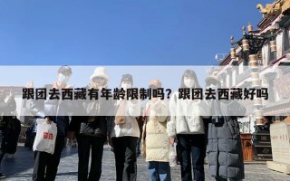 跟团去西藏有年龄限制吗？跟团去西藏好吗