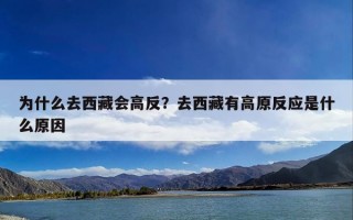 为什么去西藏会高反？去西藏有高原反应是什么原因