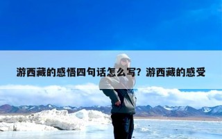 游西藏的感悟四句话怎么写？游西藏的感受