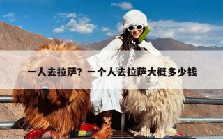 一人去拉萨？一个人去拉萨大概多少钱