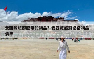 去西藏旅游应带的物品？去西藏旅游必备物品清单