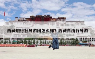西藏旅行社导游团怎么样？西藏自由行导游