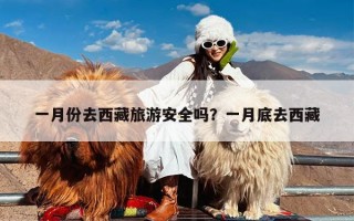 一月份去西藏旅游安全吗？一月底去西藏