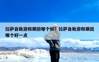 拉萨自助游和跟团哪个好？拉萨自助游和跟团哪个好一点