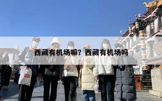 西藏有机场嘛？西藏有机场吗