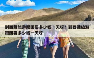 到西藏旅游跟团要多少钱一天呀？到西藏旅游跟团要多少钱一天呀