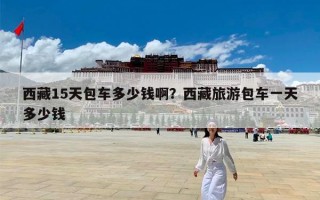 西藏15天包车多少钱啊？西藏旅游包车一天多少钱