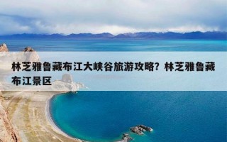 林芝雅鲁藏布江大峡谷旅游攻略？林芝雅鲁藏布江景区