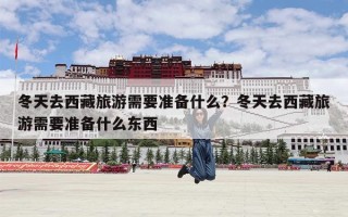 冬天去西藏旅游需要准备什么？冬天去西藏旅游需要准备什么东西