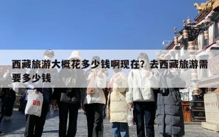 西藏旅游大概花多少钱啊现在？去西藏旅游需要多少钱