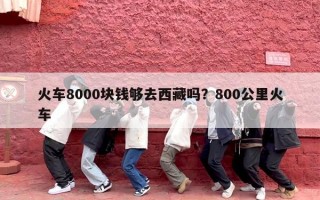 火车8000块钱够去西藏吗？800公里火车
