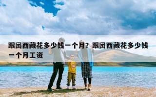 跟团西藏花多少钱一个月？跟团西藏花多少钱一个月工资