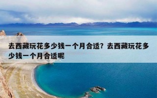 去西藏玩花多少钱一个月合适？去西藏玩花多少钱一个月合适呢