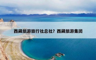 西藏旅游旅行社总社？西藏旅游集团