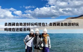 去西藏自助游好玩吗现在？去西藏自助游好玩吗现在还能去吗