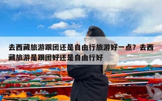去西藏旅游跟团还是自由行旅游好一点？去西藏旅游是跟团好还是自由行好