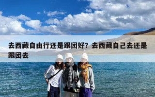 去西藏自由行还是跟团好？去西藏自己去还是跟团去