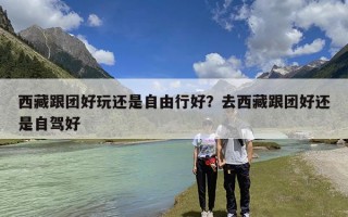 西藏跟团好玩还是自由行好？去西藏跟团好还是自驾好