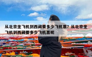 从北京坐飞机到西藏要多少飞机票？从北京坐飞机到西藏要多少飞机票呢