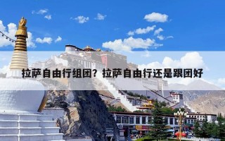 拉萨自由行组团？拉萨自由行还是跟团好