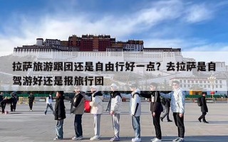拉萨旅游跟团还是自由行好一点？去拉萨是自驾游好还是报旅行团