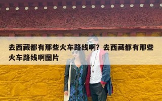 去西藏都有那些火车路线啊？去西藏都有那些火车路线啊图片