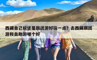 西藏自己玩还是跟团游好玩一点？去西藏跟团游和自助游哪个好