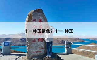 十一林芝景色？十一 林芝
