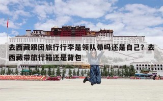 去西藏跟团旅行行李是领队带吗还是自己？去西藏带旅行箱还是背包