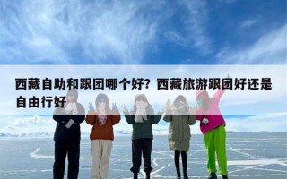 西藏自助和跟团哪个好？西藏旅游跟团好还是自由行好