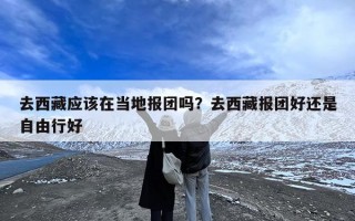 去西藏应该在当地报团吗？去西藏报团好还是自由行好