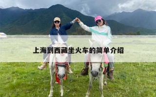 上海到西藏坐火车的简单介绍