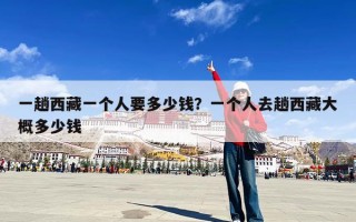 一趟西藏一个人要多少钱？一个人去趟西藏大概多少钱