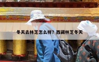 冬天去林芝怎么样？西藏林芝冬天
